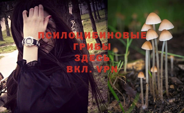 гашишное масло Липки