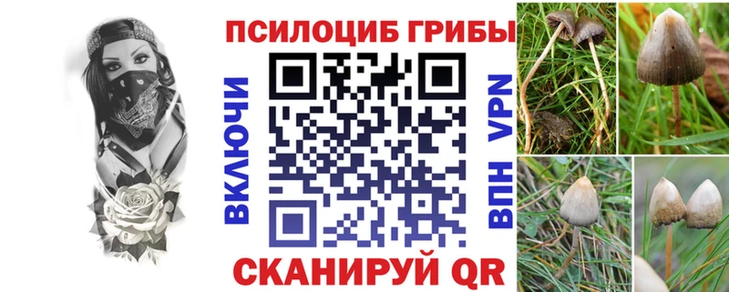 Галлюциногенные грибы Psilocybine cubensis Железногорск-Илимский