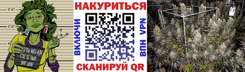 купить закладку Железногорск-Илимский Канабис гибрид